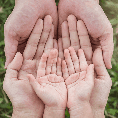 shutterstock_1066030742